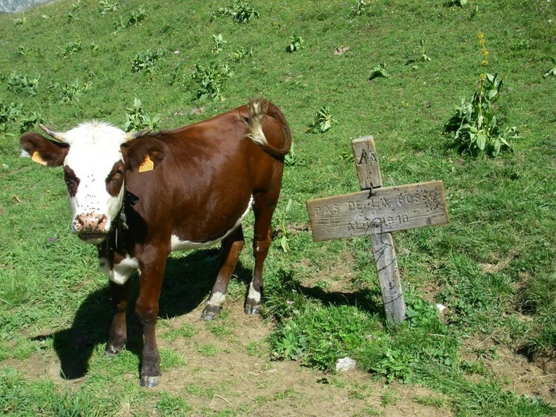 IMGP1345